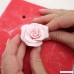Palker Sky Cake Decorating Gumpaste Flowers & The Easiest Rose Ever Cutter Pack of 3 - B01FR6DFJO